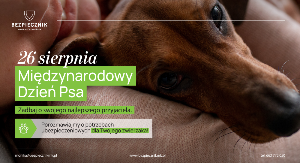 Zdjęcie wyróżniające