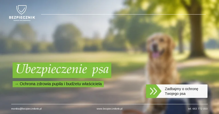 26 sierpnia 2026 Międzynarodowy Dzień Psa